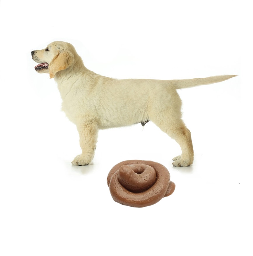 Fake Poop Gag Gift - ของเล่นบีบอัดอึตลกๆ - ลูกบอลบีบอัดอึปลอมขนาดใหญ่เหมือนจริง ของขวัญตลกๆ สำหรับเล่นตลกและบรรเทาความวิตกกังวล