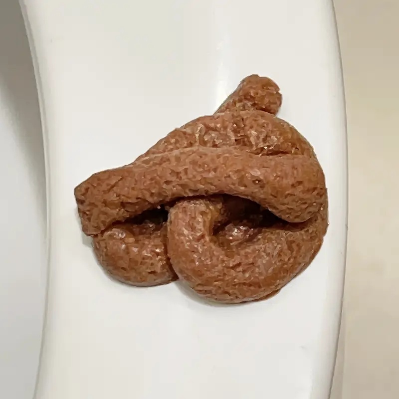 ของเล่นแกล้งคนรูปอุจจาระลอยน้ำ - Fake Poop Gag Gift บทวิจารณ์และราคา