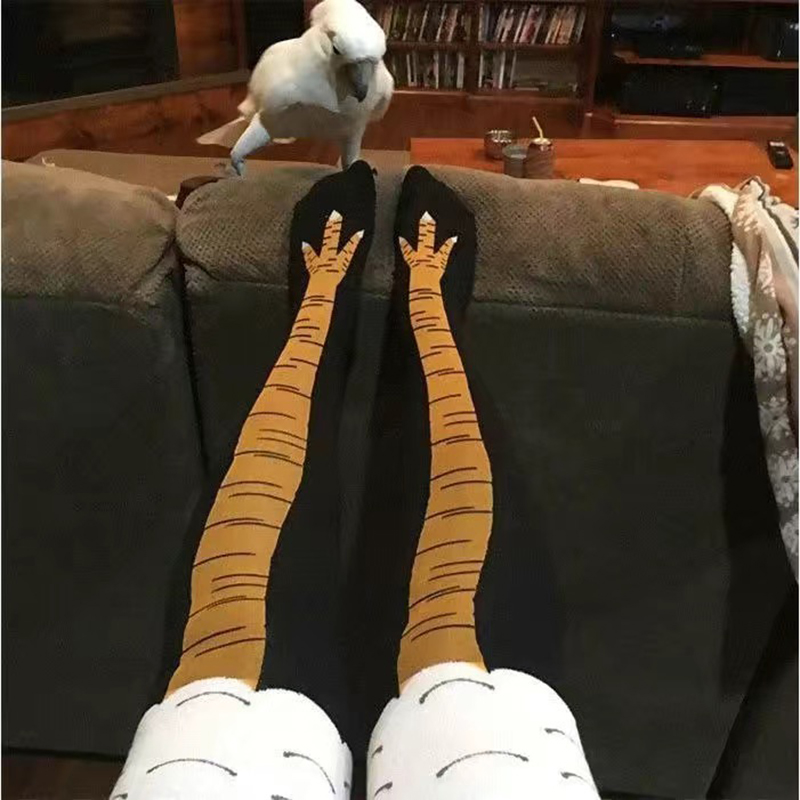 ถุงเท้าลายตีนไก่สำหรับผู้หญิง  - Funny Chicken Leg Socks บทวิจารณ์และราคา